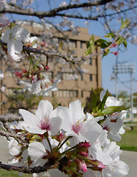 Johokagaku Building